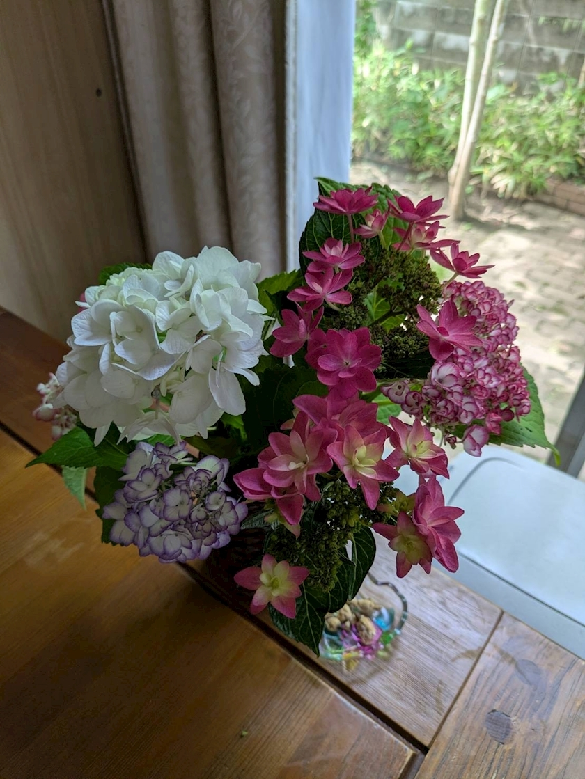 花咲 みらい