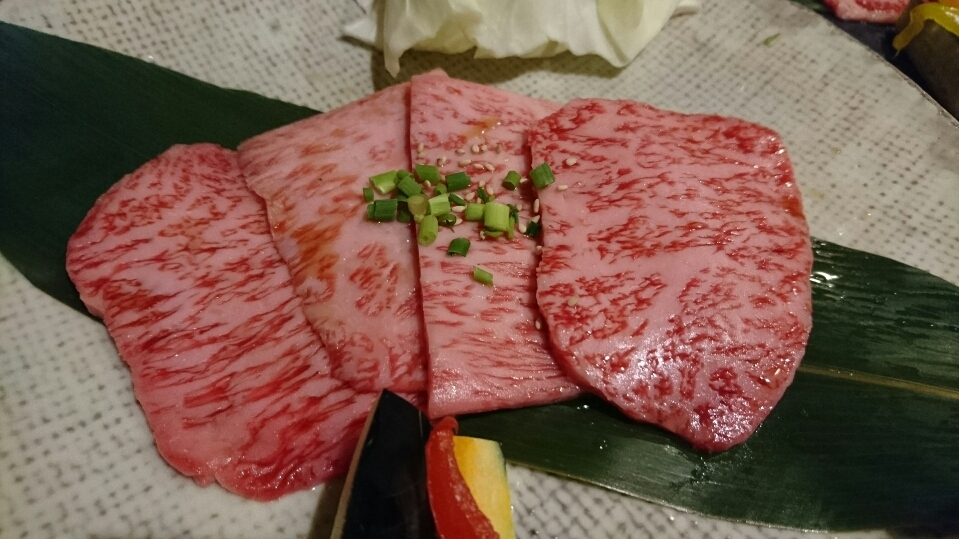 五条 椿