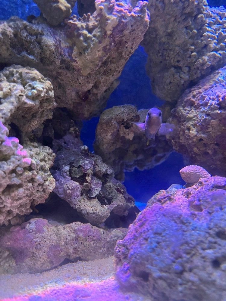 ナミ