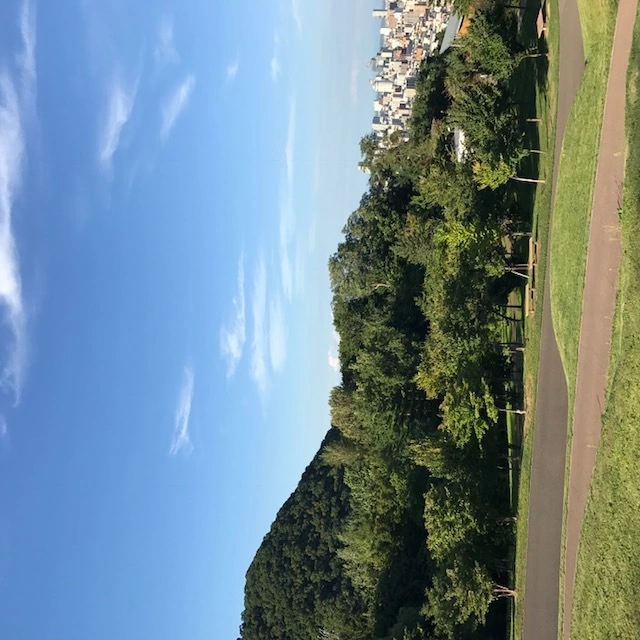 藤咲 りな