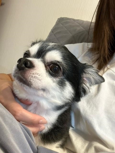 妃乃 すず