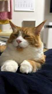 桐島 りゅう