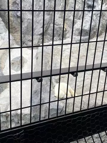 長瀬 純恋
