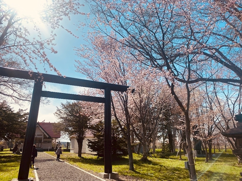 華宮 りりあ