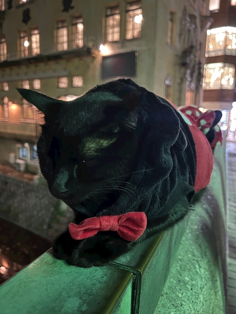 姫花