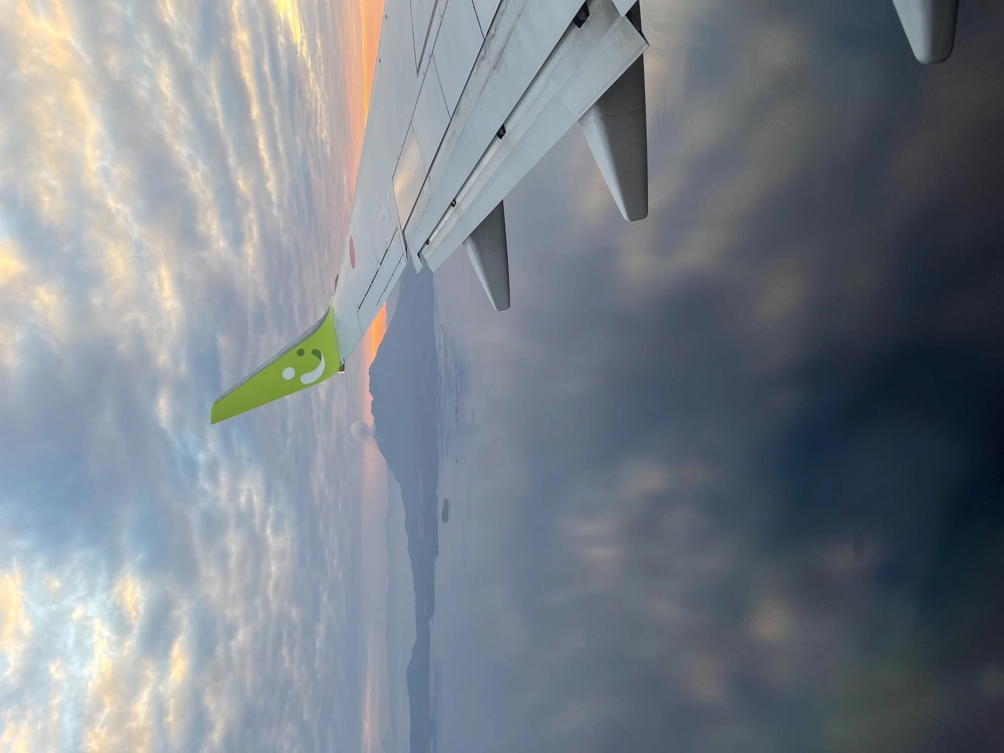 まゆ