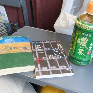蓮海 マリーヤ