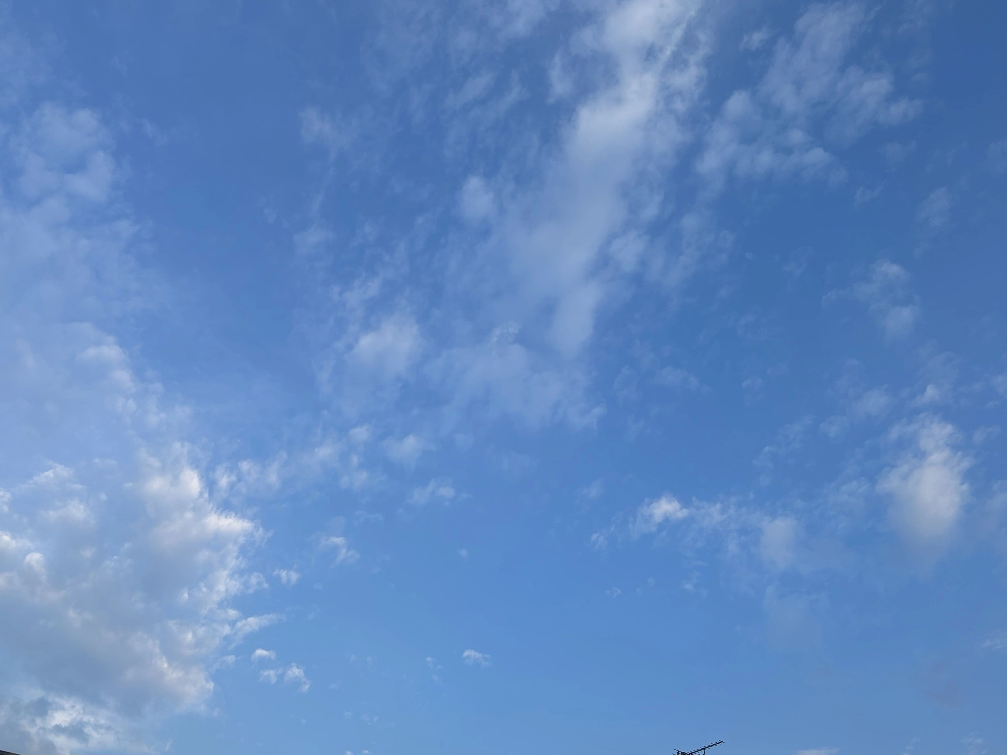 ユミ