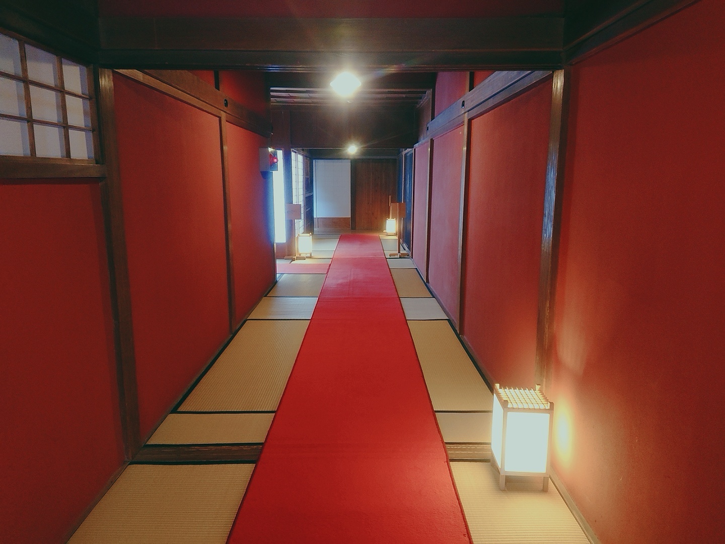 四条 すみれ