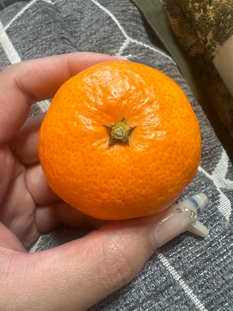 るな