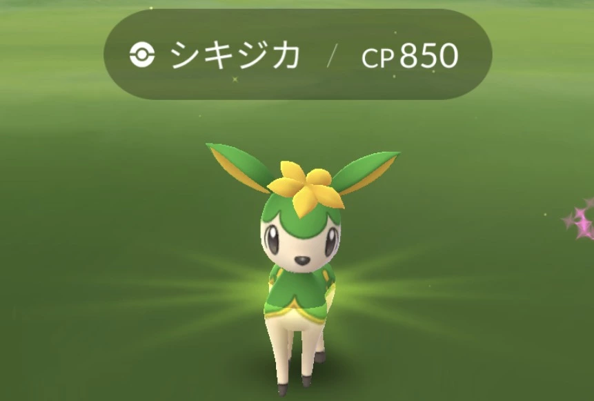 五条 椿