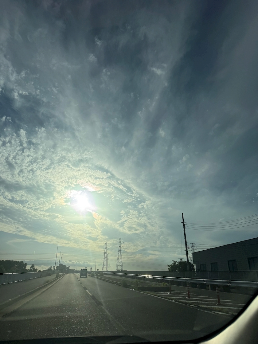 せいか