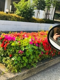 りえ