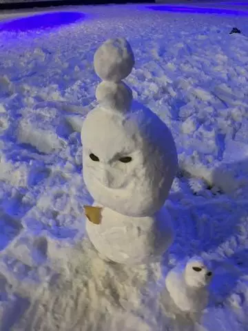 七星 夏純