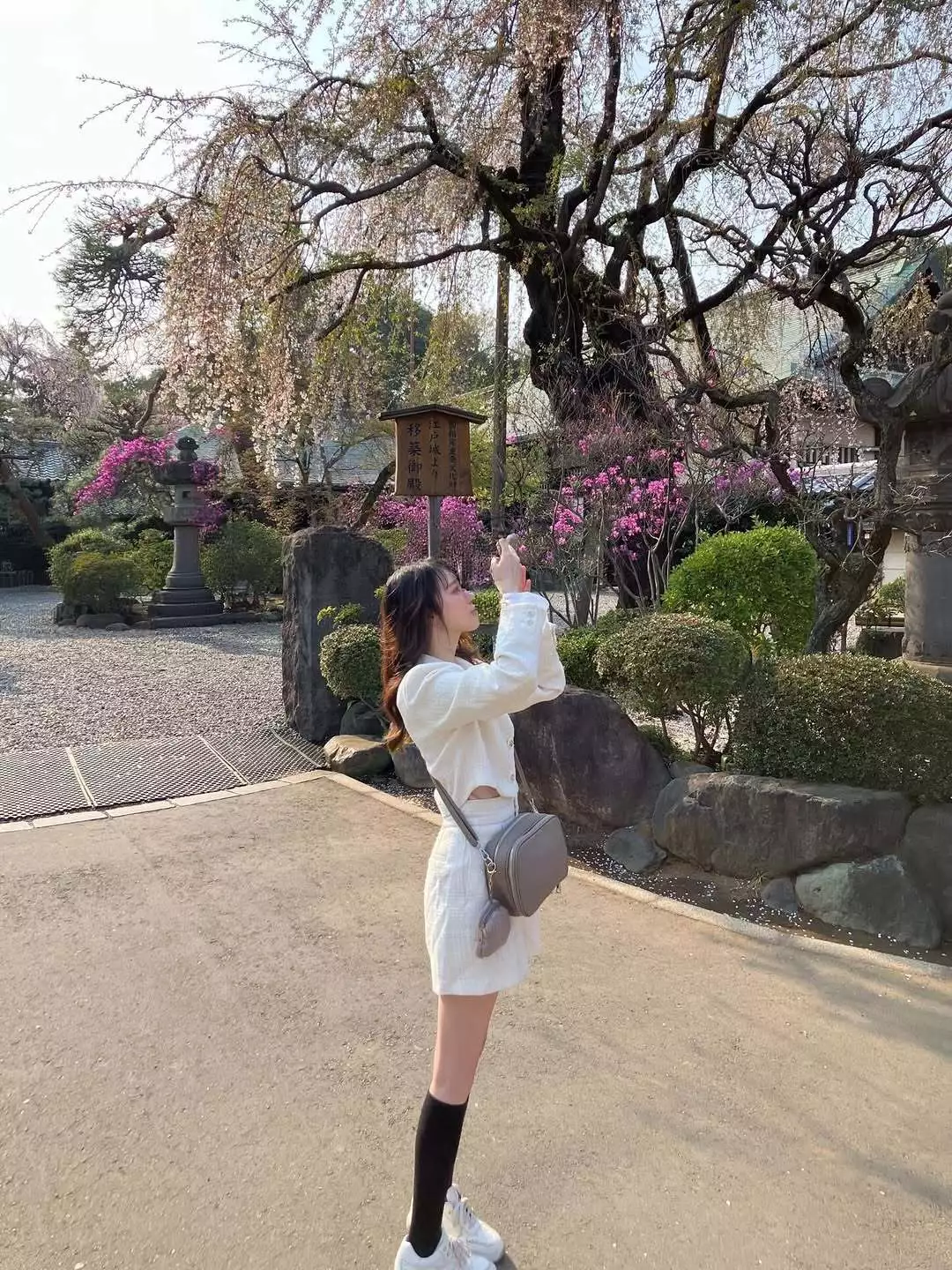 あやめ