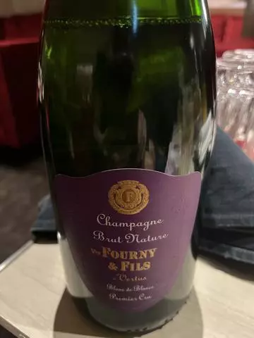 七星 夏純