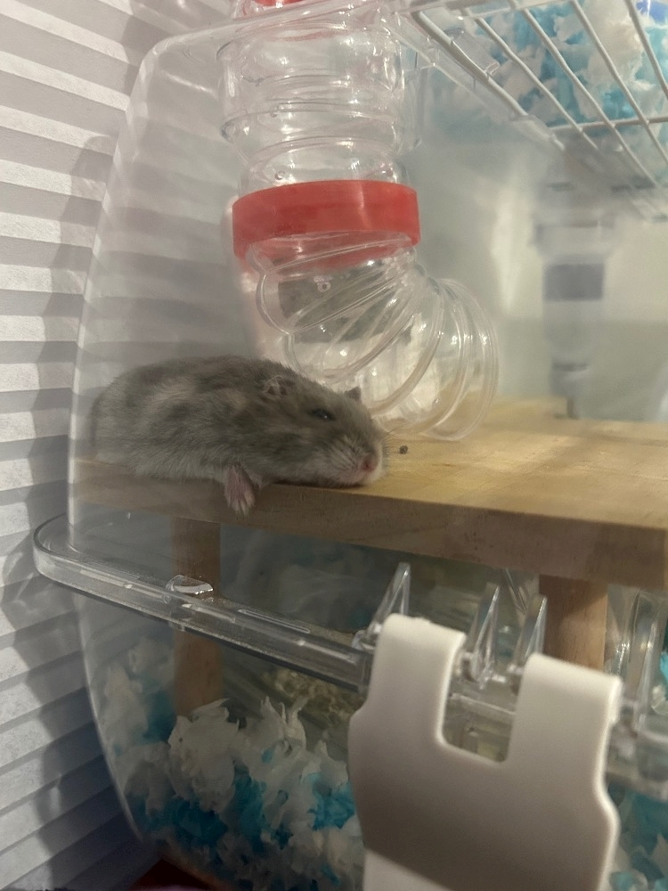 かびるんるんさわ
