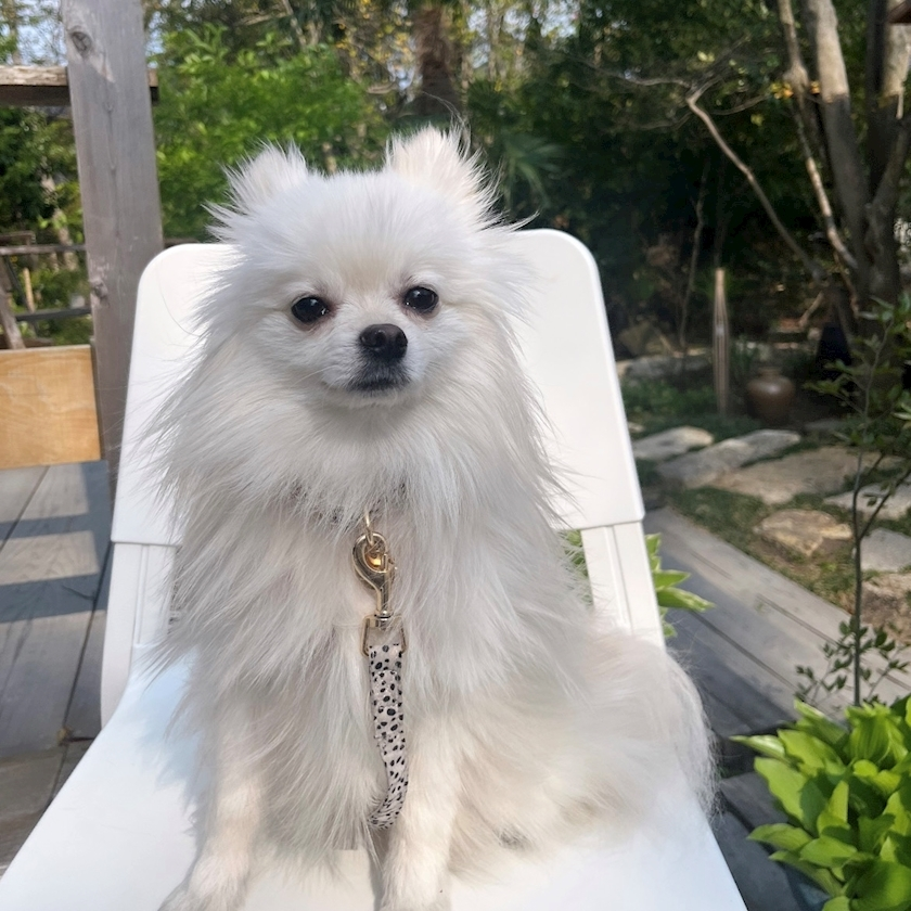 七瀬 なな