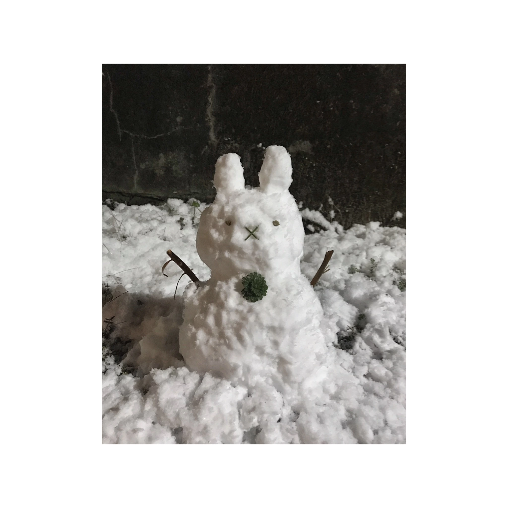 すず