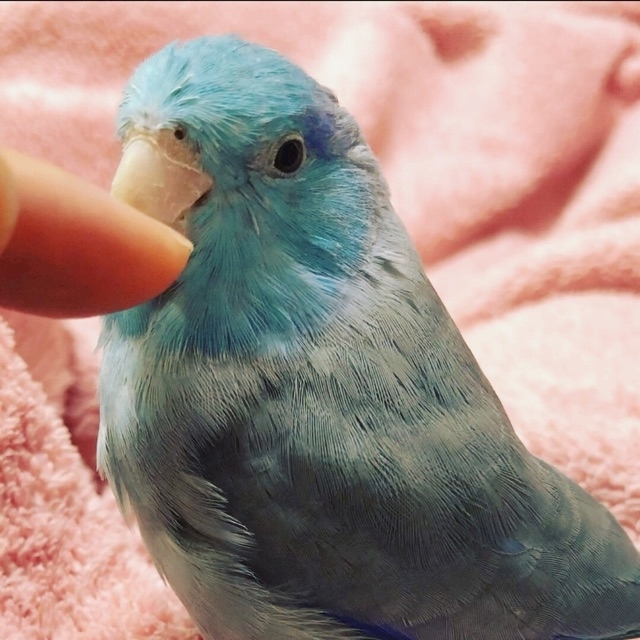 水城 のあ