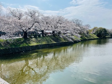 中野 かな