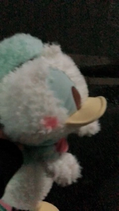 かのん