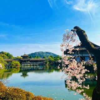 ゆかり