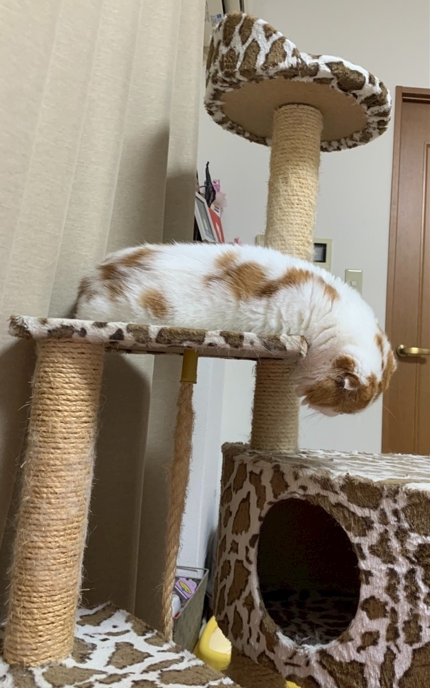 れみ