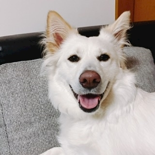 京 さゆみ