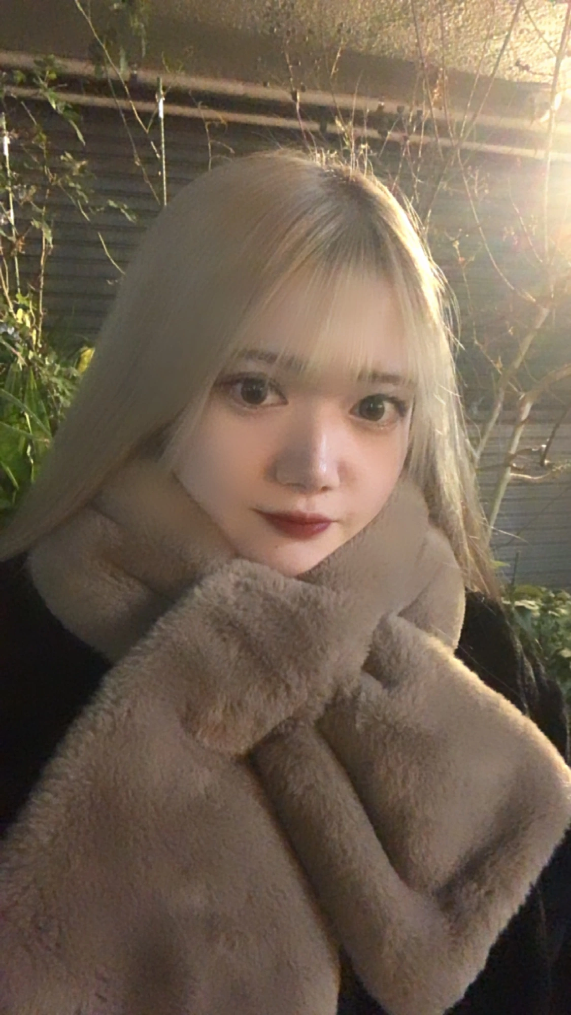 なぎさ