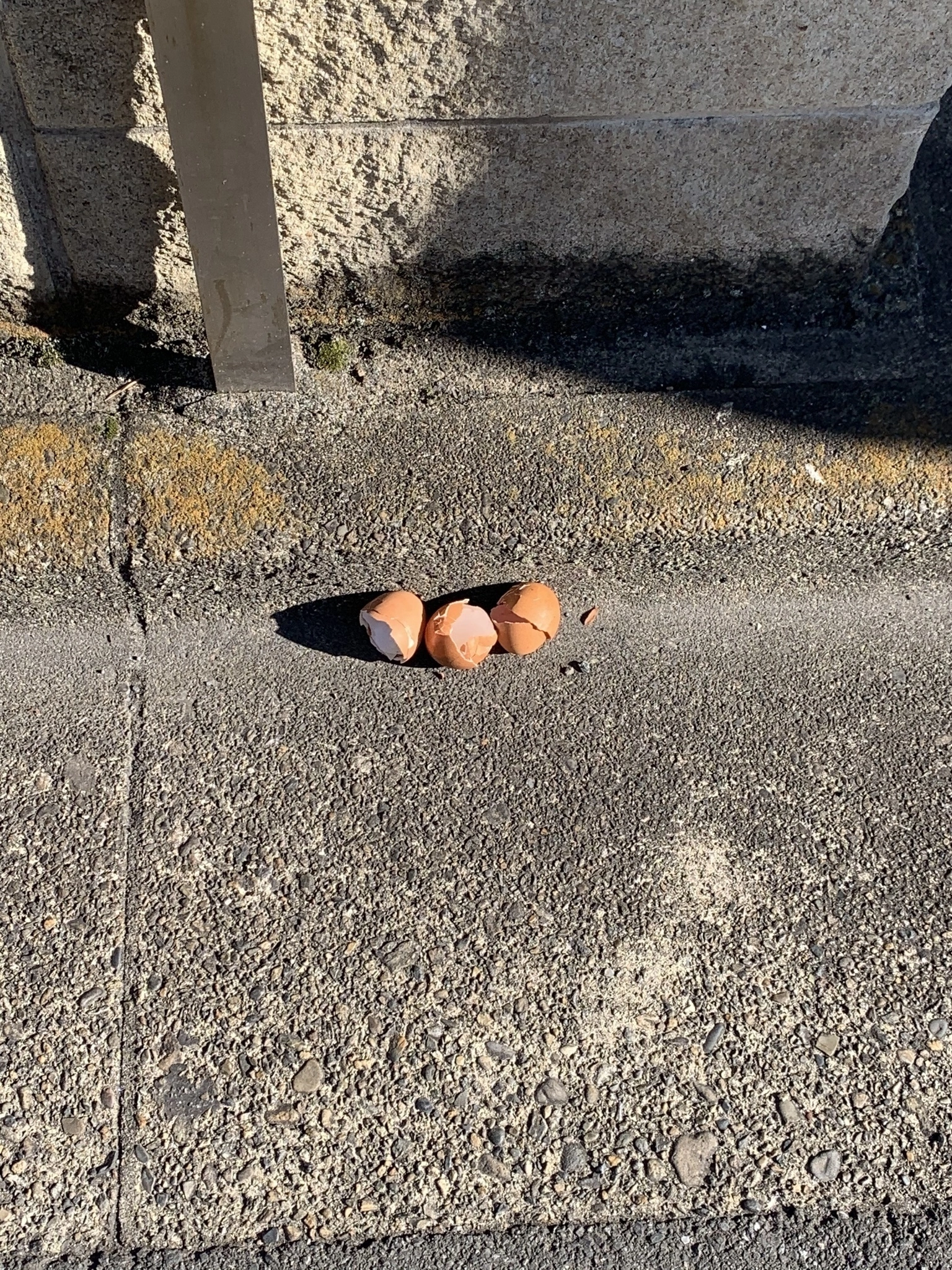 しずく