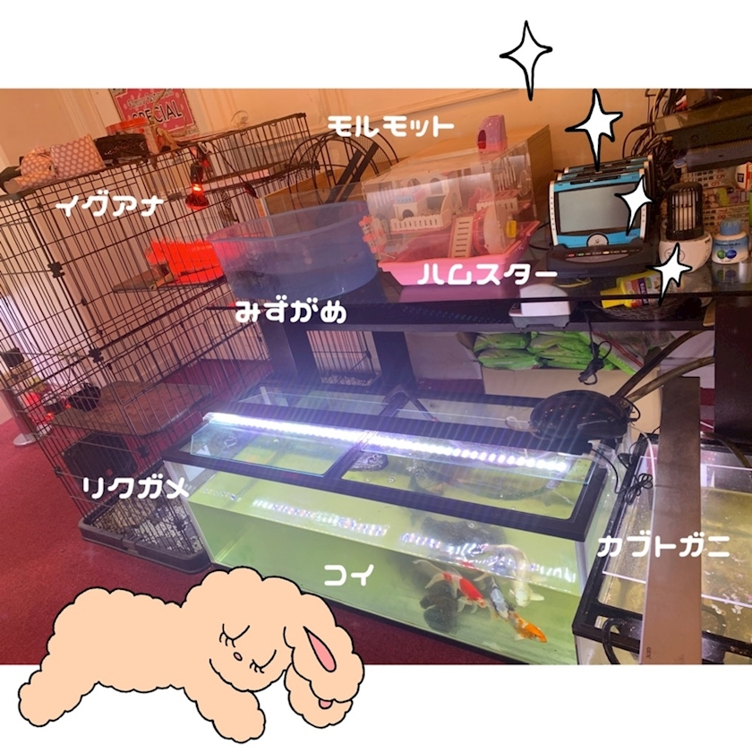 なな