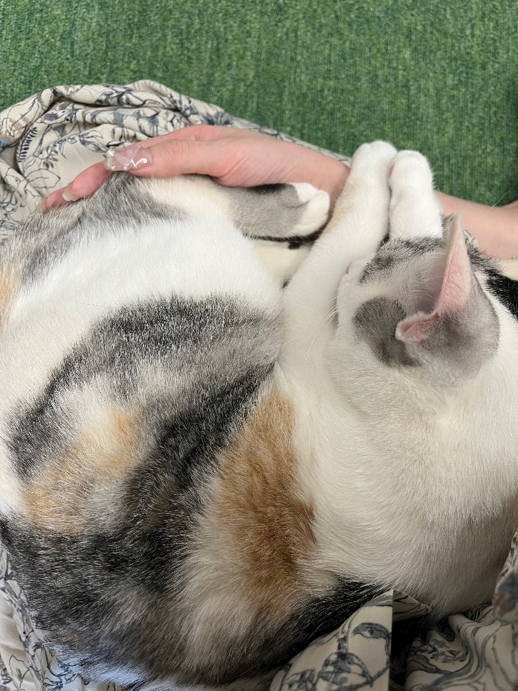 なぎ