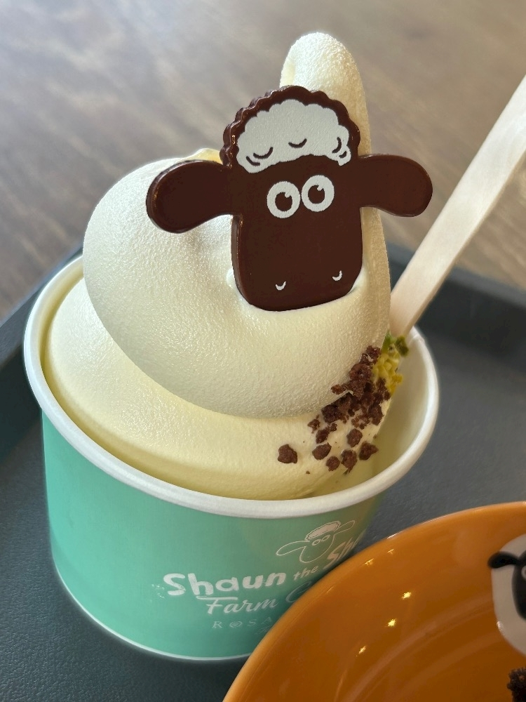 湊崎 さな