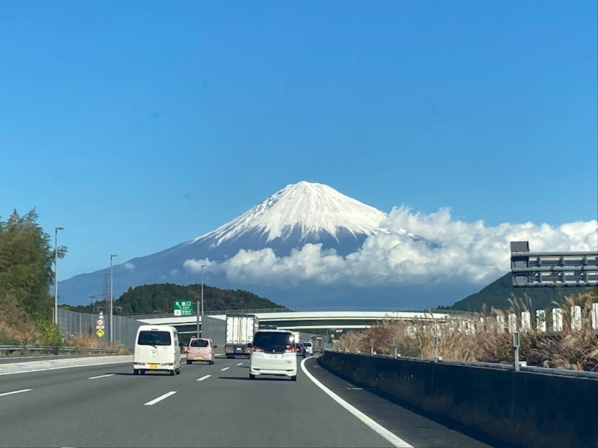 エリカ