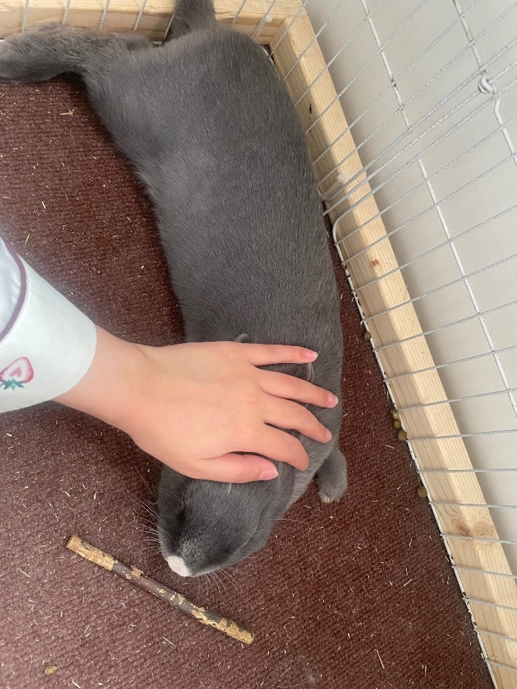 愛川 らん