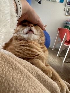 桐島 りゅう