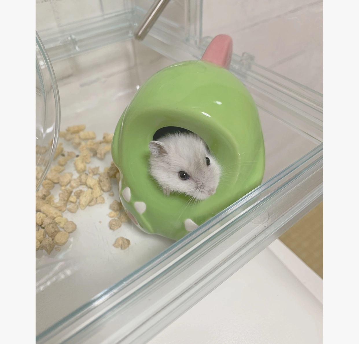 まゆ