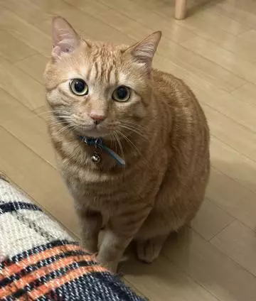 神永 莉聖