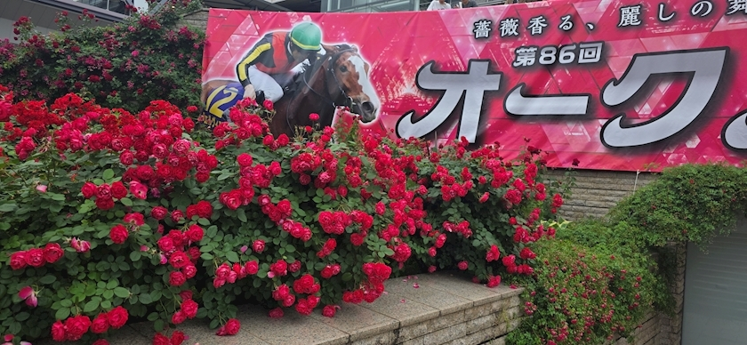 りか