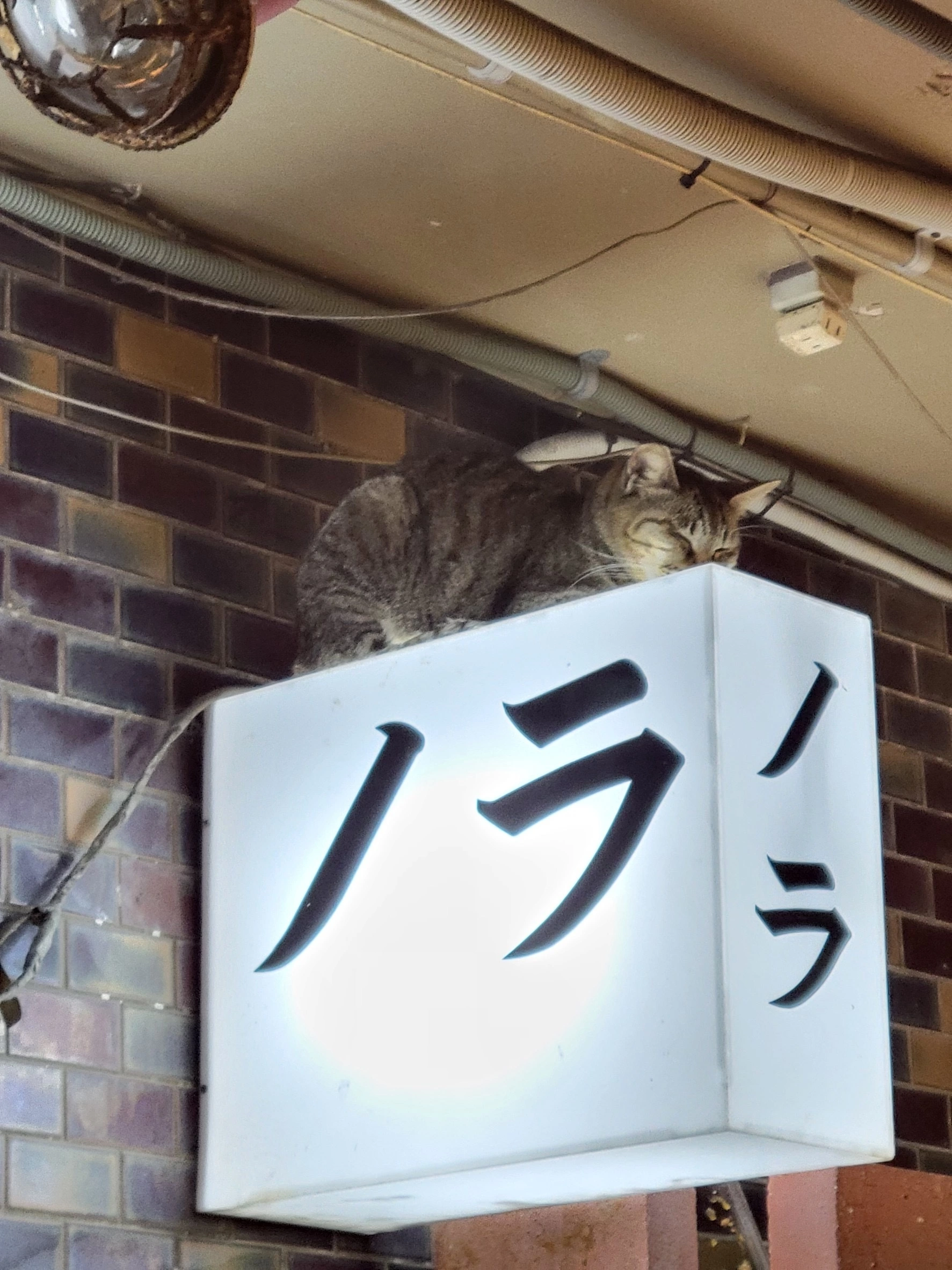 まる
