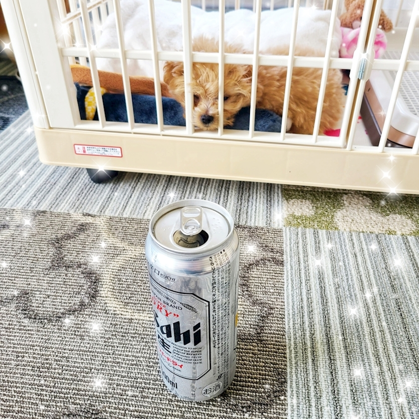 ミカ