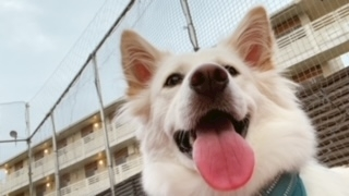 京 さゆみ