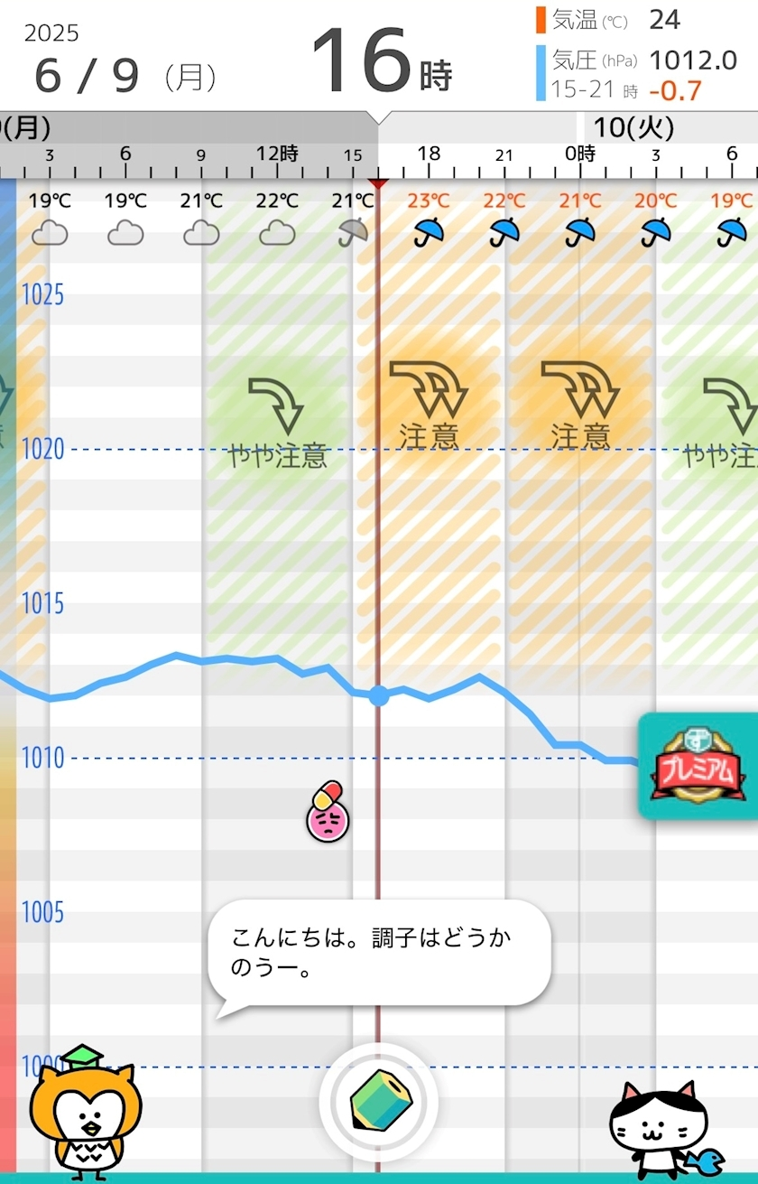 辻 みなみ