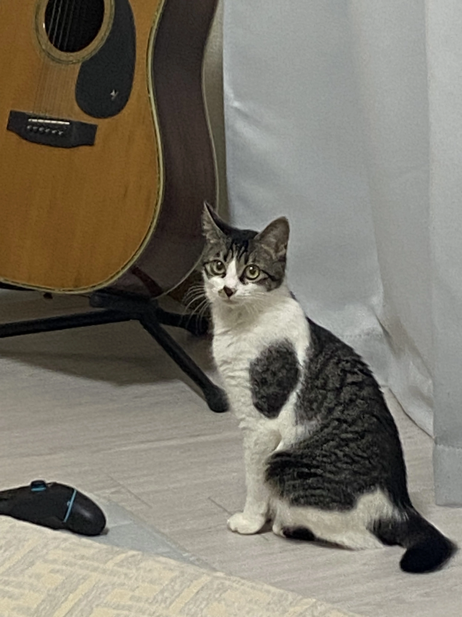 あきら