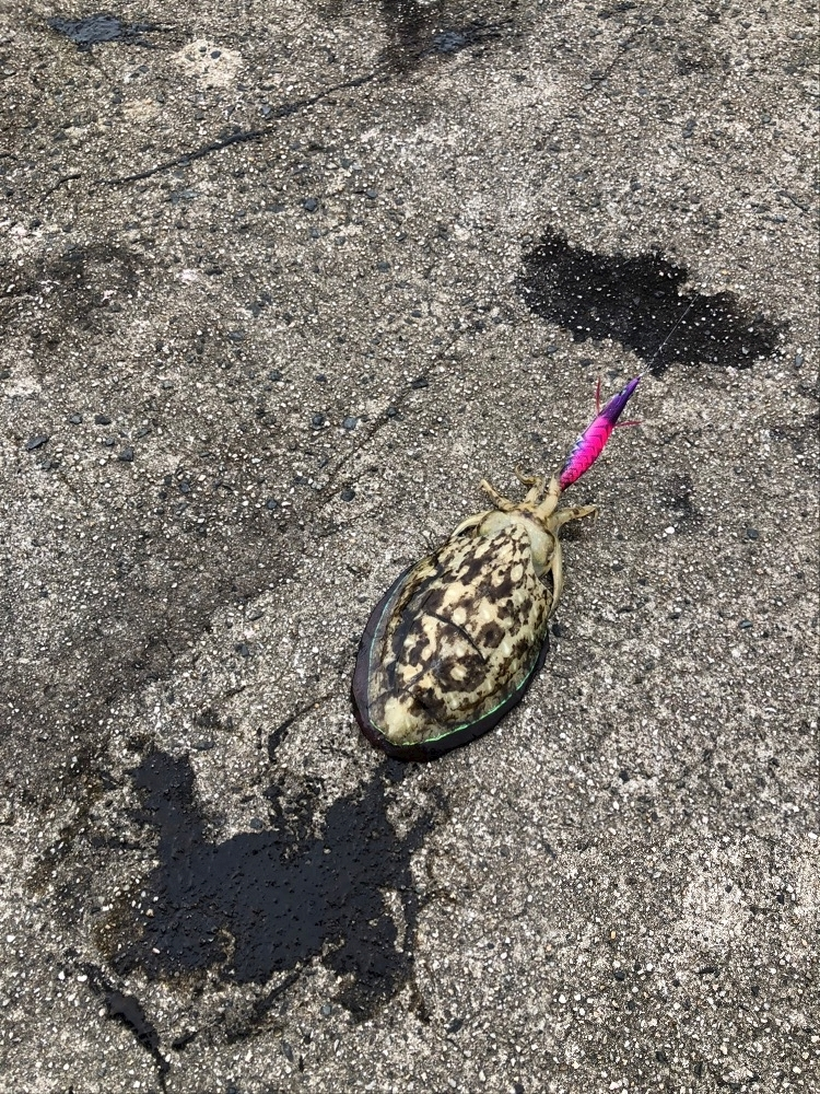 はる