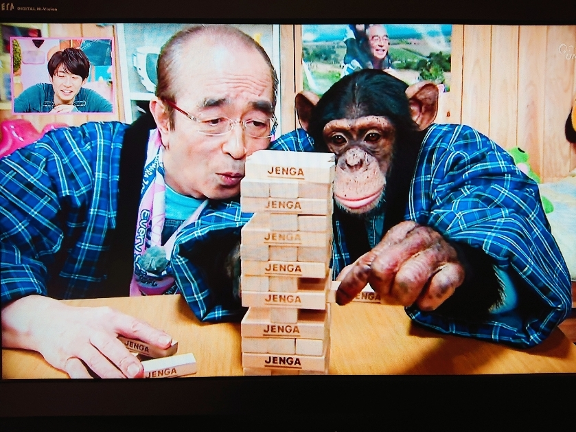 五条 椿