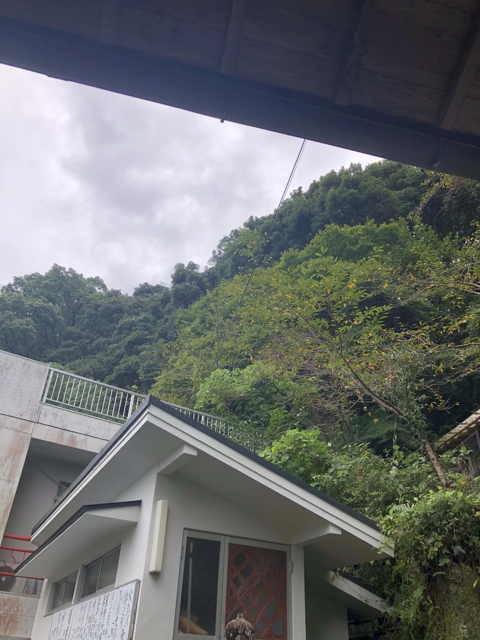 藤本 祐子ママ