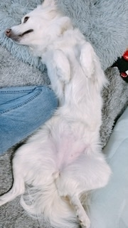 京 さゆみ