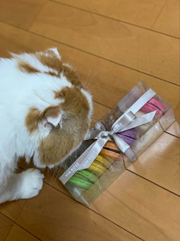 れみ